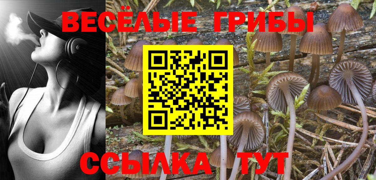 Псилоцибиновые грибы прущие грибы Нижний Тагил