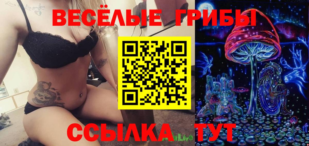 Псилоцибиновые грибы прущие грибы  наркотики  Нижний Тагил  Вход с VPN 